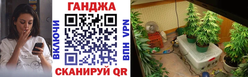 Наркошоп купить A-PVP  Меф мяу мяу  Гашиш  МДМА  Cocaine  Псилоцибиновые грибы  Карпинск