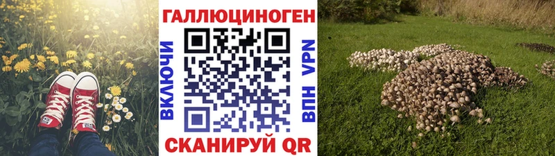 Купить закладки  Карпинск  Галлюциногенные грибы мицелий 